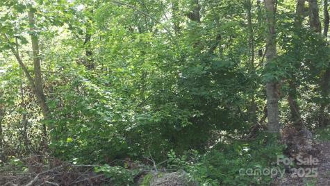 0 Sunset Ridge Drive Columbus NC 28722