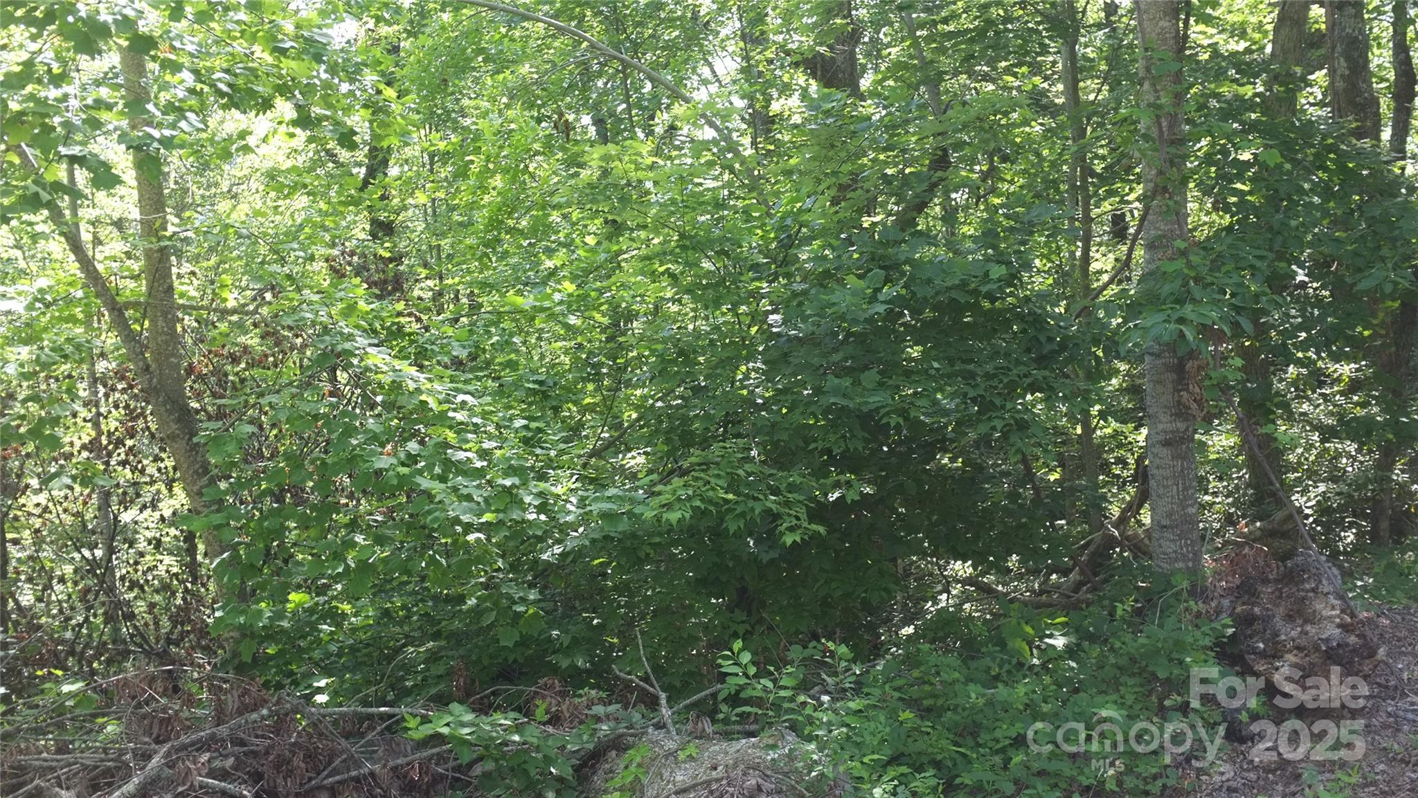 0 Sunset Ridge Drive Columbus NC 28722