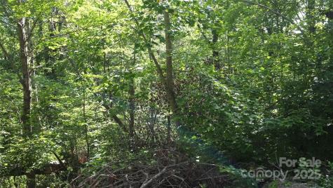 0 Sunset Ridge Drive Columbus NC 28722