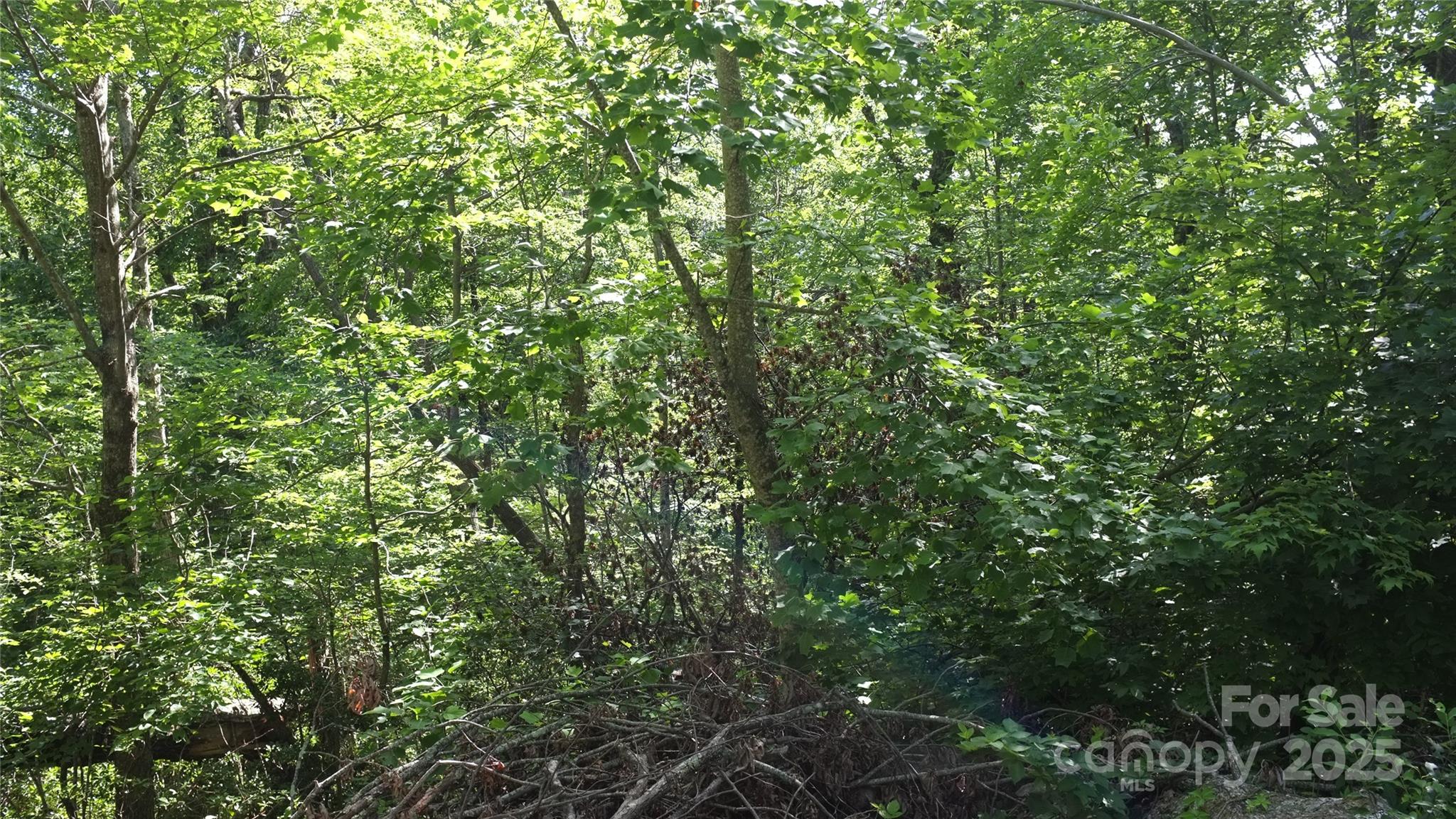 0 Sunset Ridge Drive Columbus NC 28722