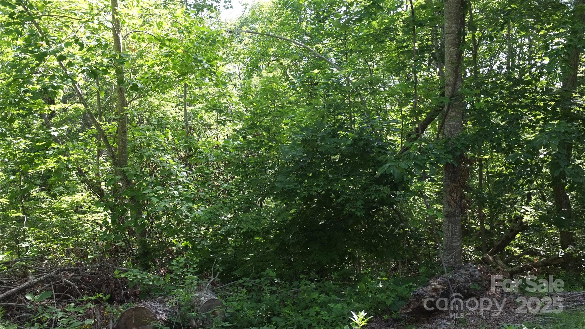 0 Sunset Ridge Drive Columbus NC 28722