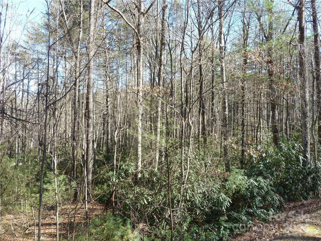 30 Abby Falls Drive Rosman NC 28772