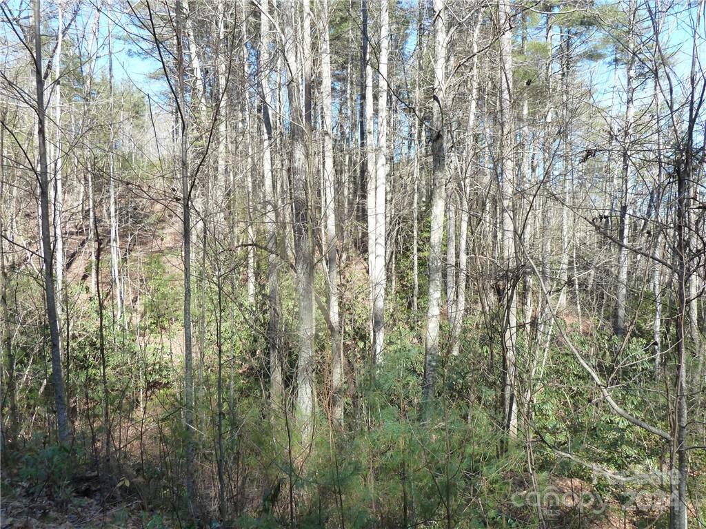 30 Abby Falls Drive Rosman NC 28772