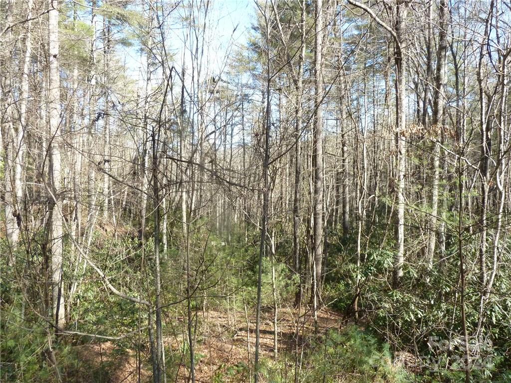30 Abby Falls Drive Rosman NC 28772