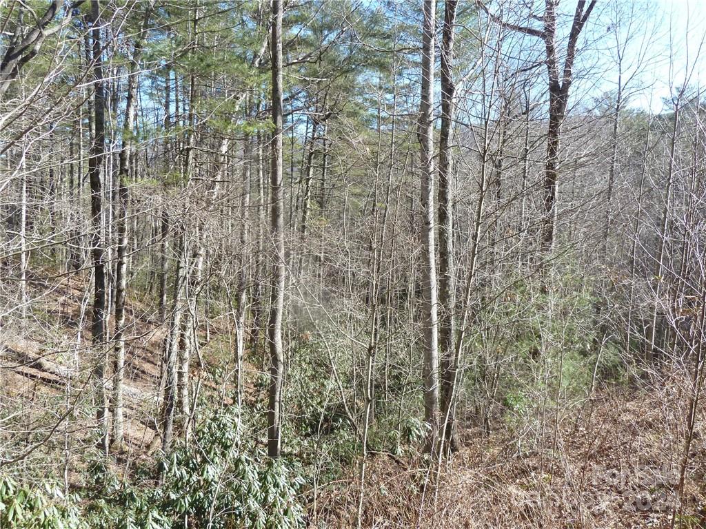 30 Abby Falls Drive Rosman NC 28772