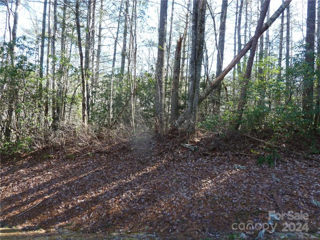 30 Abby Falls Drive Rosman NC 28772