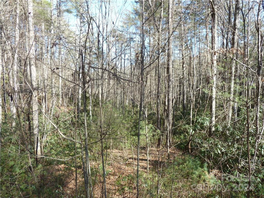 30 Abby Falls Drive Rosman NC 28772