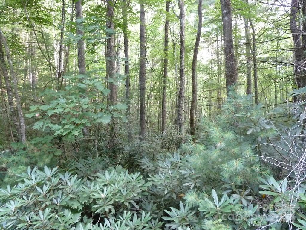 30 Abby Falls Drive Rosman NC 28772