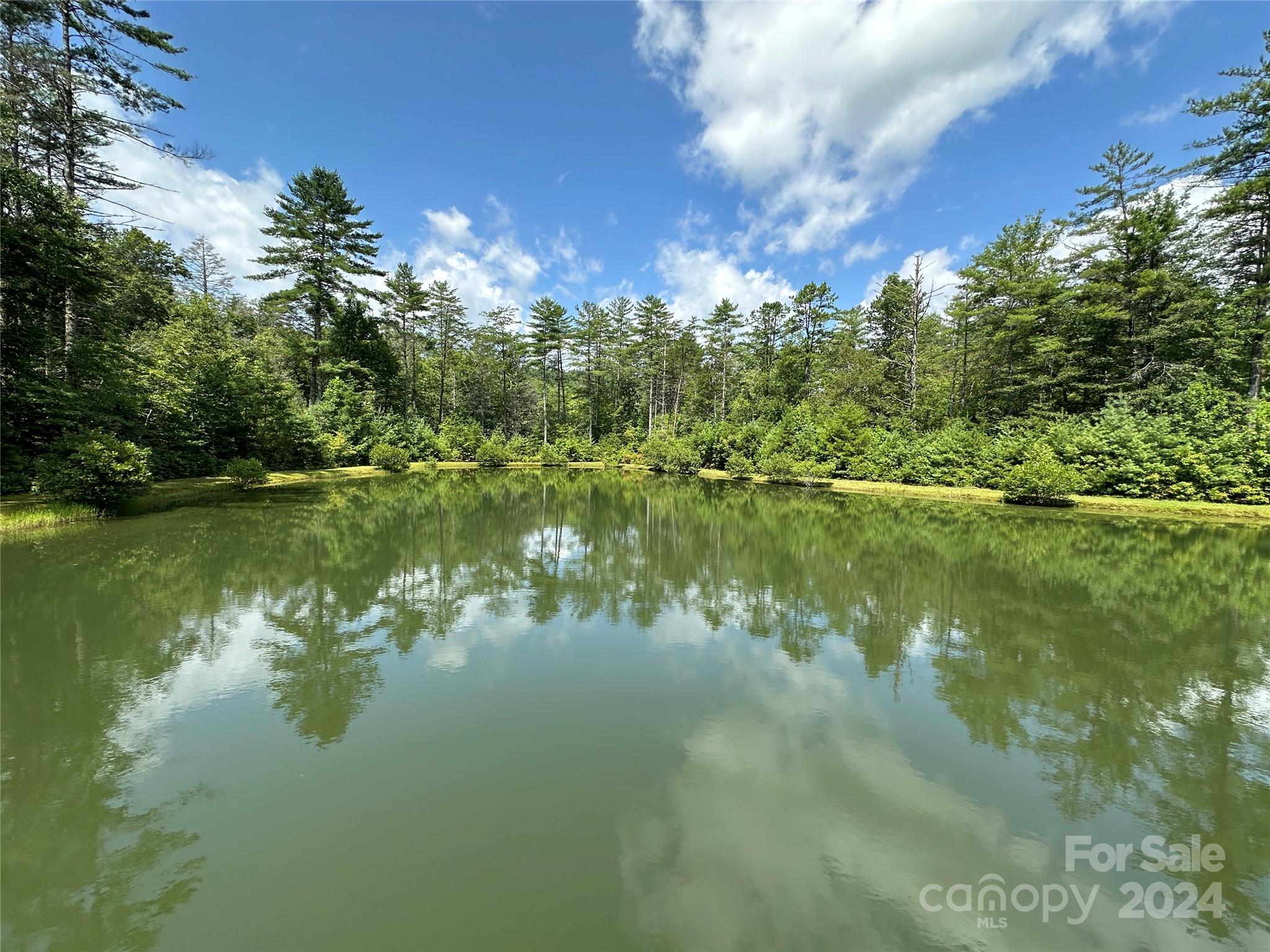 30 Abby Falls Drive Rosman NC 28772