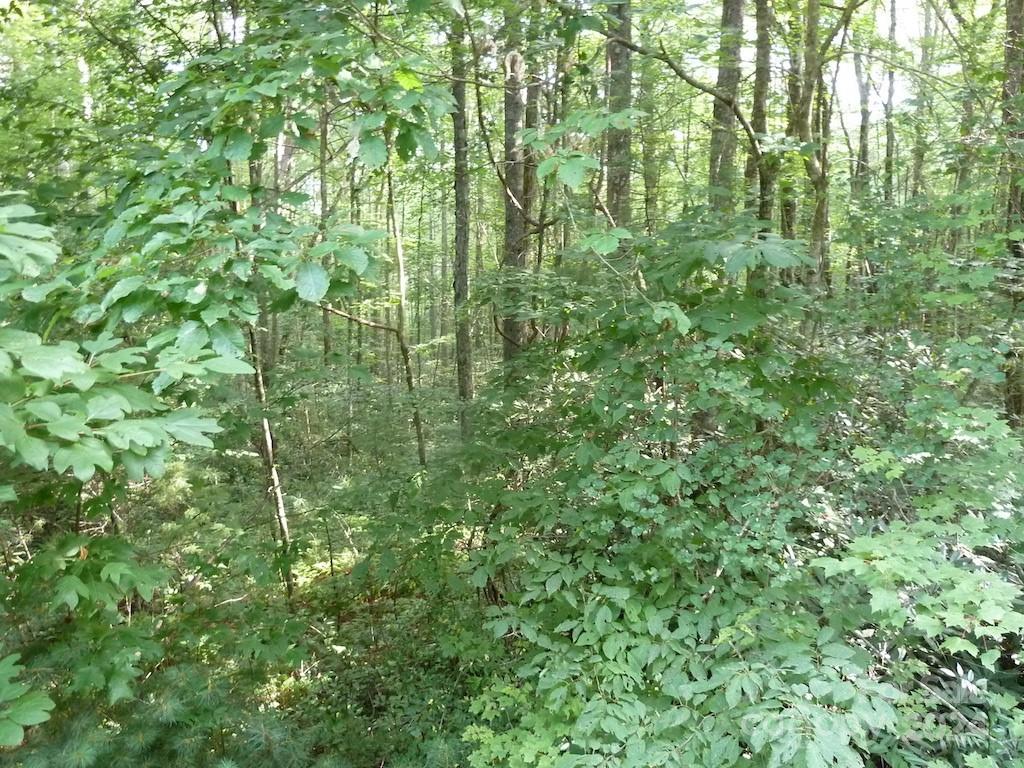 30 Abby Falls Drive Rosman NC 28772