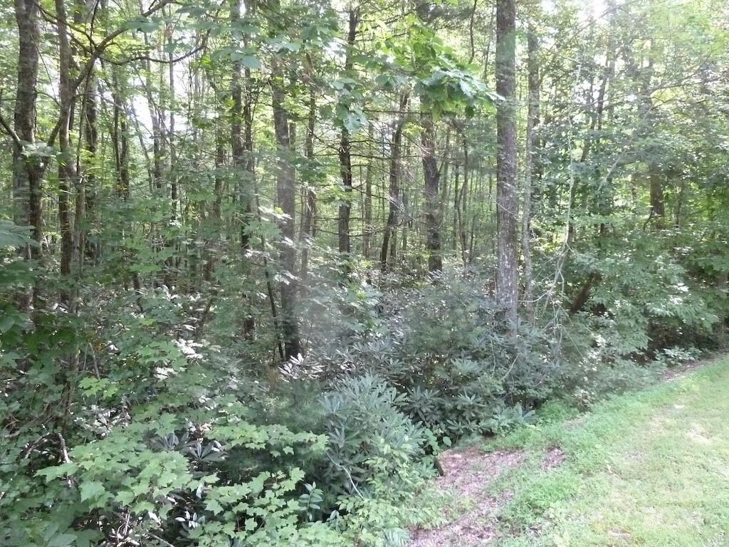 30 Abby Falls Drive Rosman NC 28772