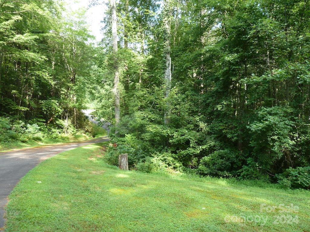 30 Abby Falls Drive Rosman NC 28772