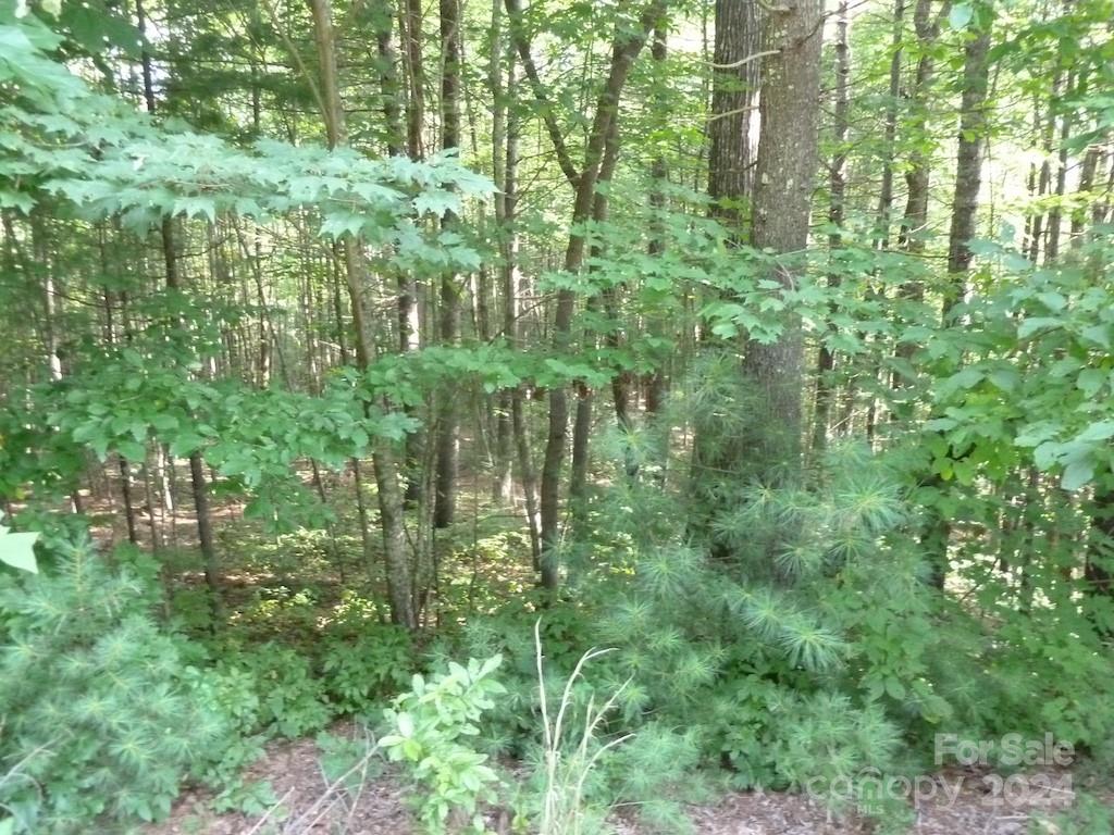 30 Abby Falls Drive Rosman NC 28772