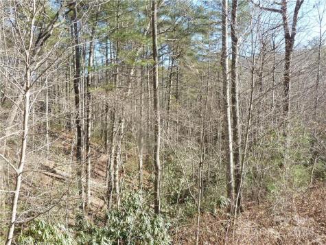 30 Abby Falls Drive Rosman NC 28772