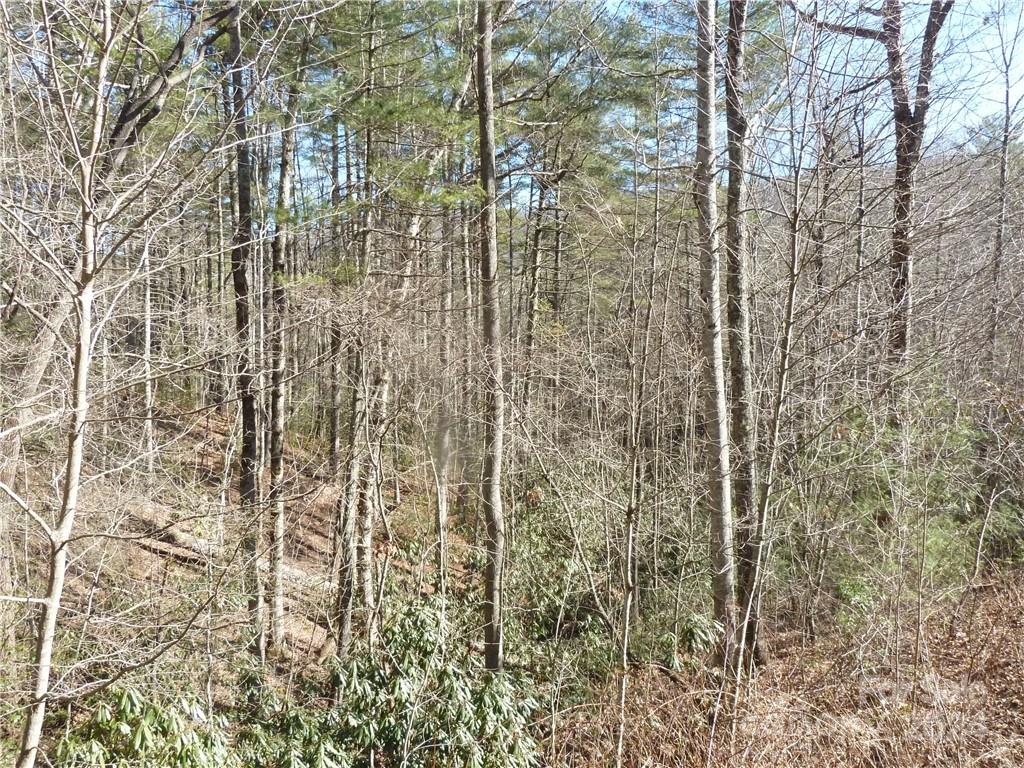30 Abby Falls Drive Rosman NC 28772