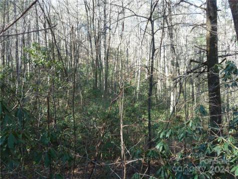 30 Abby Falls Drive Rosman NC 28772