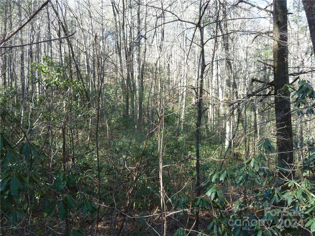 30 Abby Falls Drive Rosman NC 28772