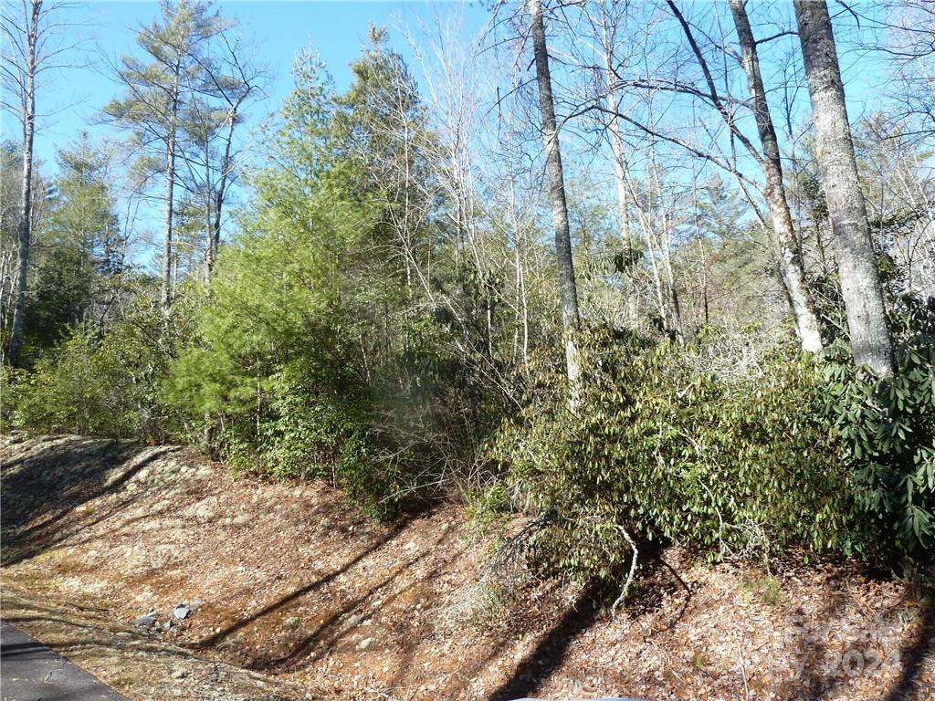 30 Abby Falls Drive Rosman NC 28772