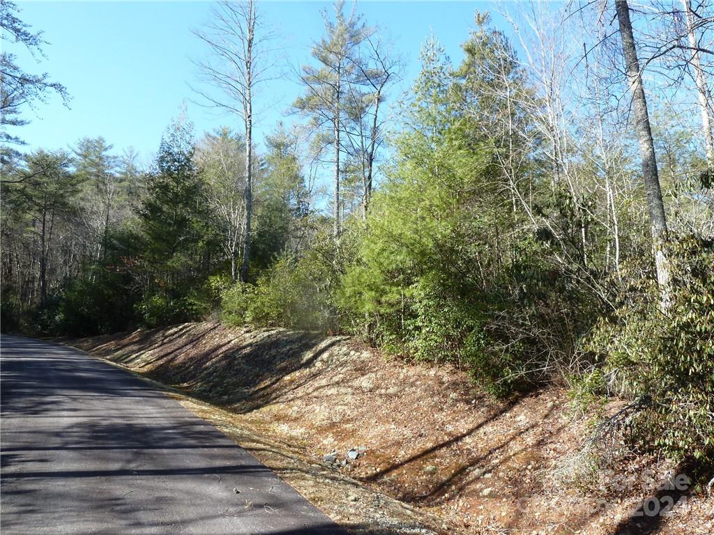30 Abby Falls Drive Rosman NC 28772