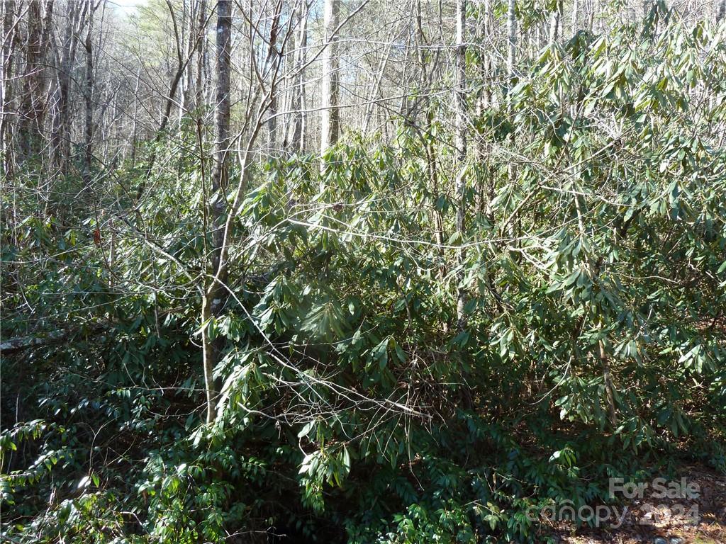 30 Abby Falls Drive Rosman NC 28772
