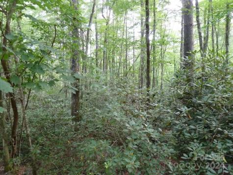 30 Abby Falls Drive Rosman NC 28772