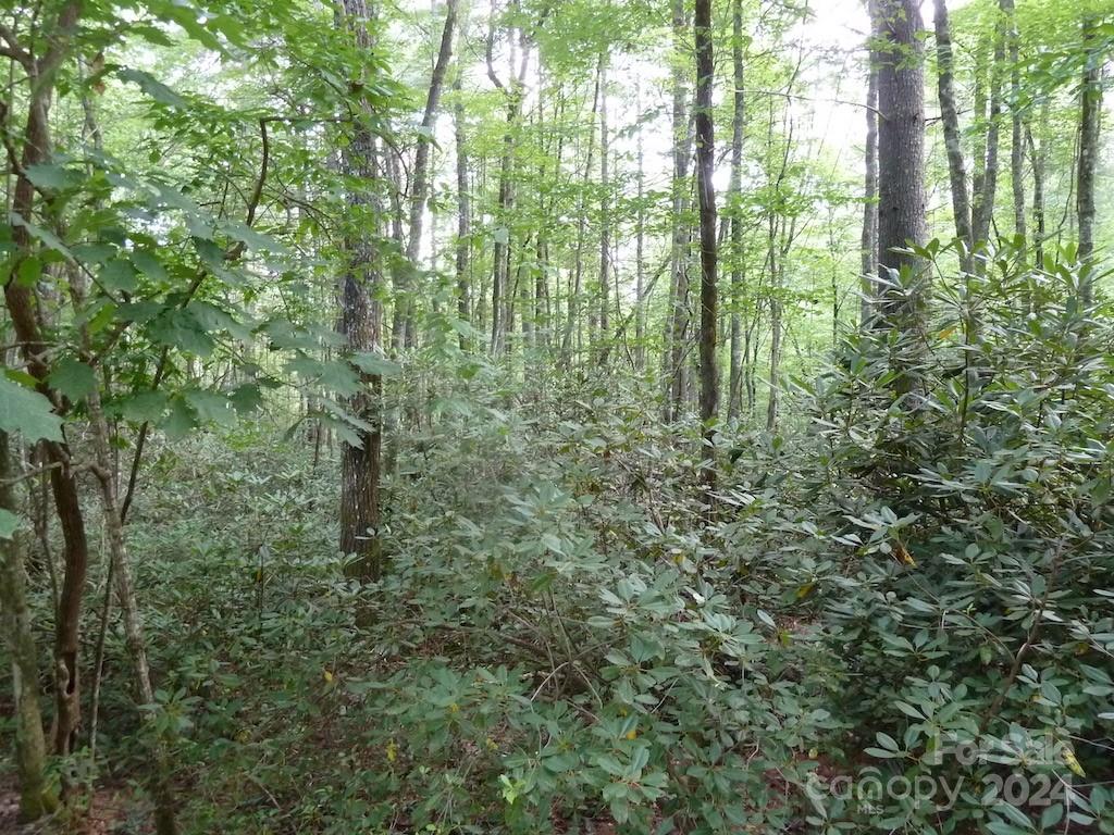 30 Abby Falls Drive Rosman NC 28772