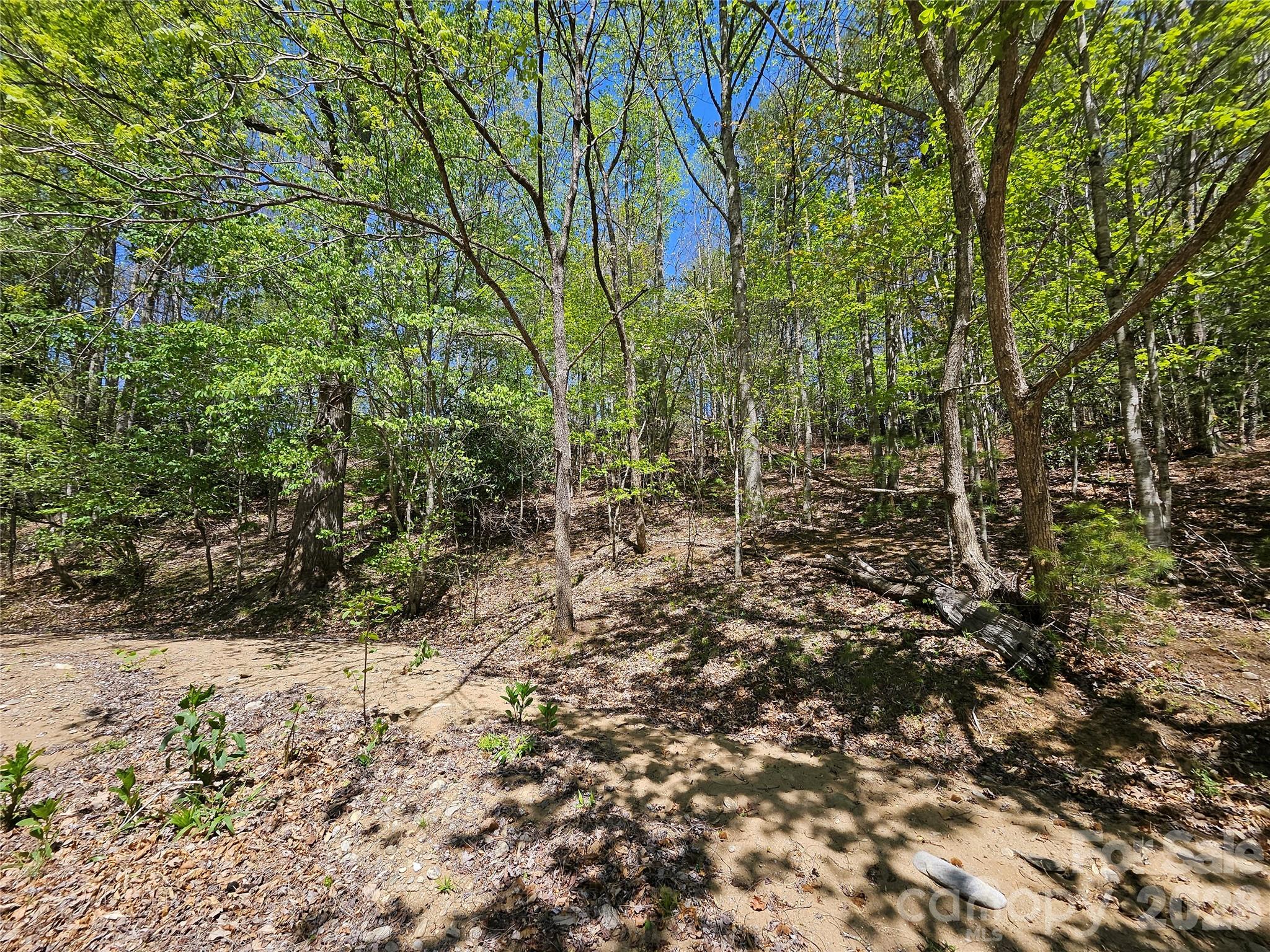 465 Paradise Lane Burnsville NC 28714