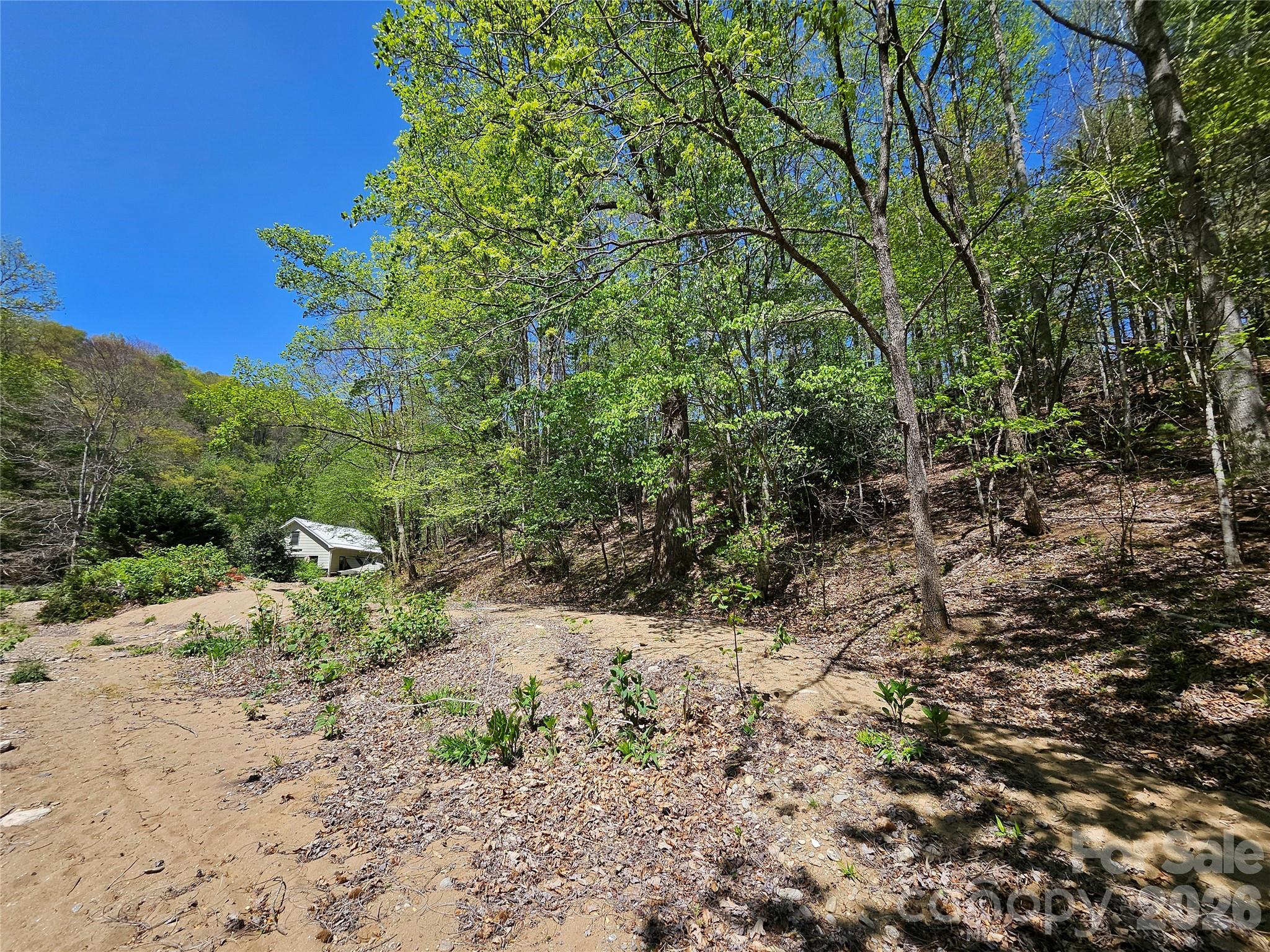 465 Paradise Lane Burnsville NC 28714
