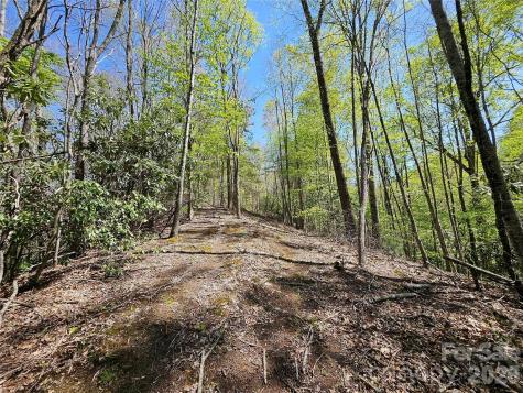 465 Paradise Lane Burnsville NC 28714