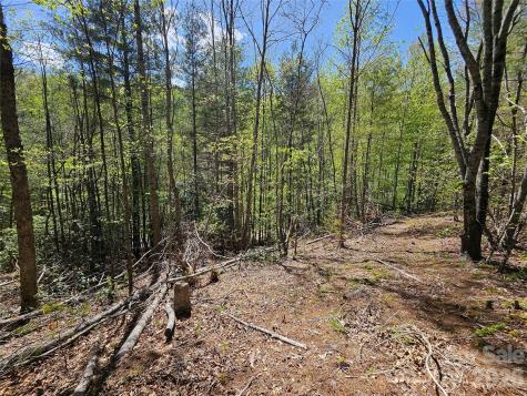 465 Paradise Lane Burnsville NC 28714