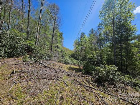 465 Paradise Lane Burnsville NC 28714