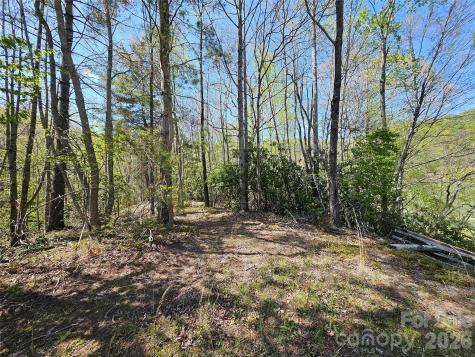 465 Paradise Lane Burnsville NC 28714