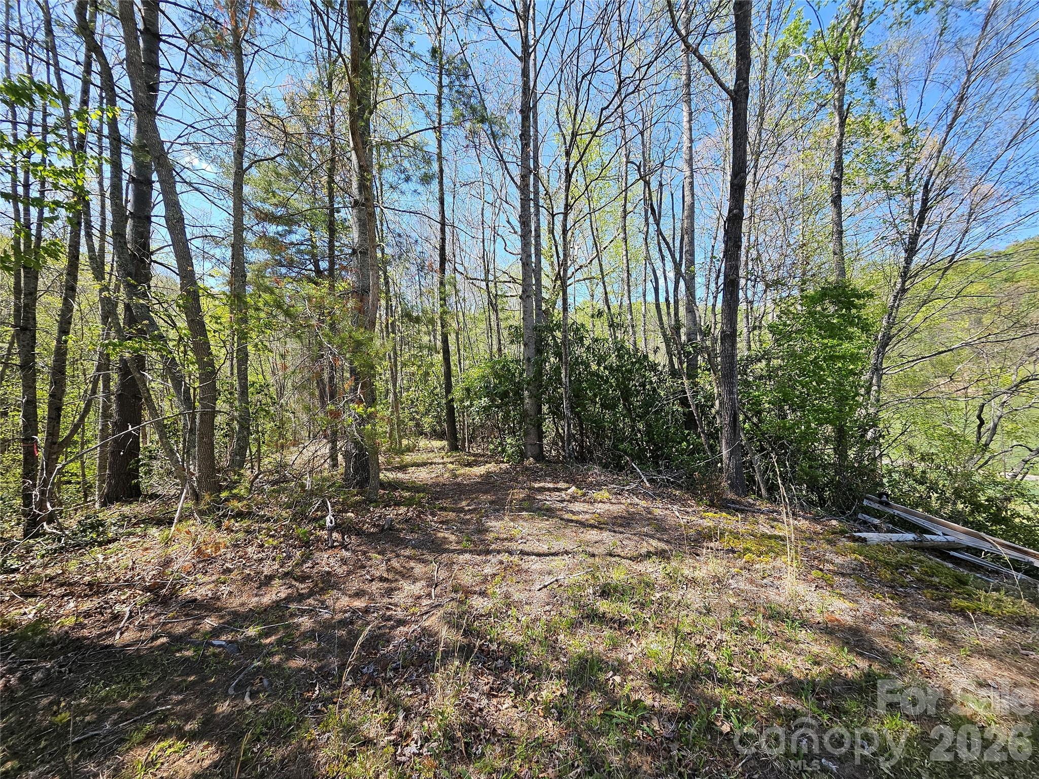 465 Paradise Lane Burnsville NC 28714