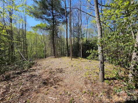 465 Paradise Lane Burnsville NC 28714