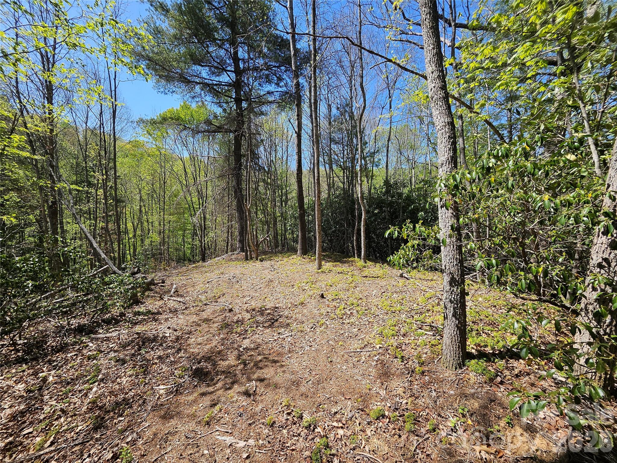 465 Paradise Lane Burnsville NC 28714
