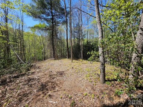 465 Paradise Lane Burnsville NC 28714