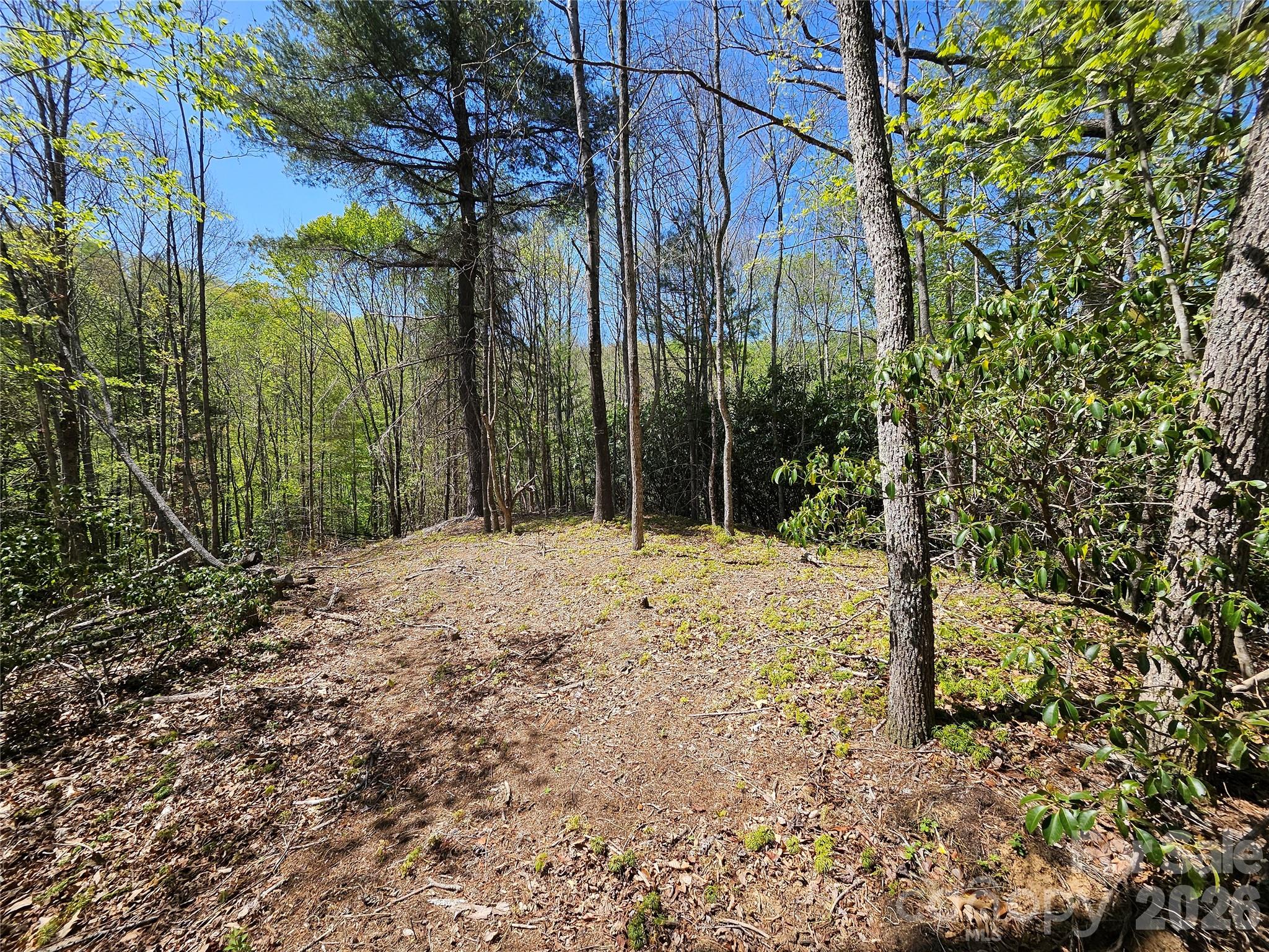 465 Paradise Lane Burnsville NC 28714