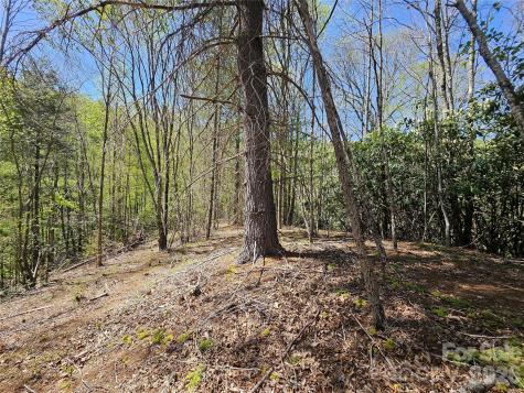 465 Paradise Lane Burnsville NC 28714