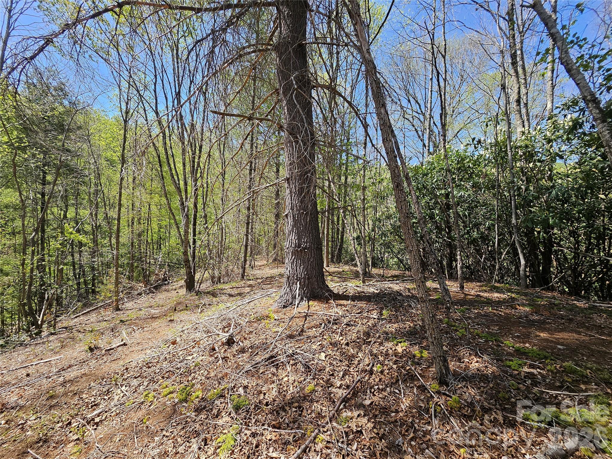 465 Paradise Lane Burnsville NC 28714