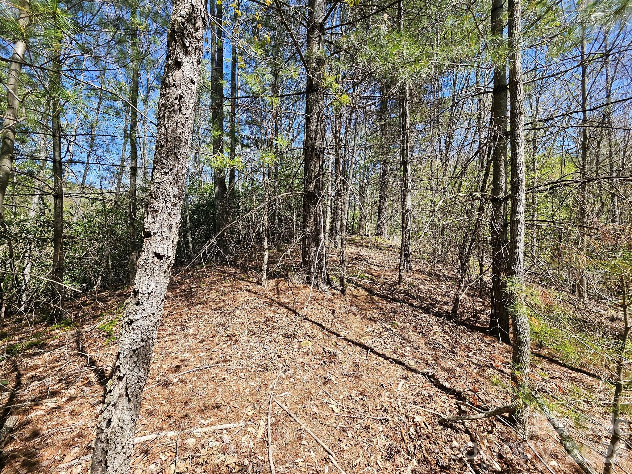 465 Paradise Lane Burnsville NC 28714