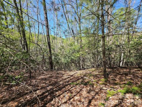 465 Paradise Lane Burnsville NC 28714