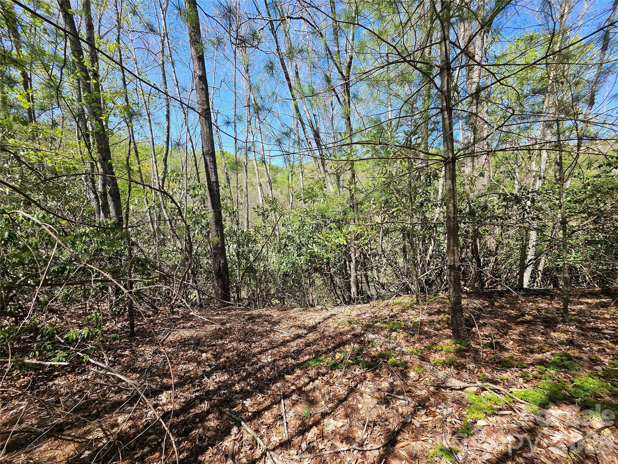 465 Paradise Lane Burnsville NC 28714