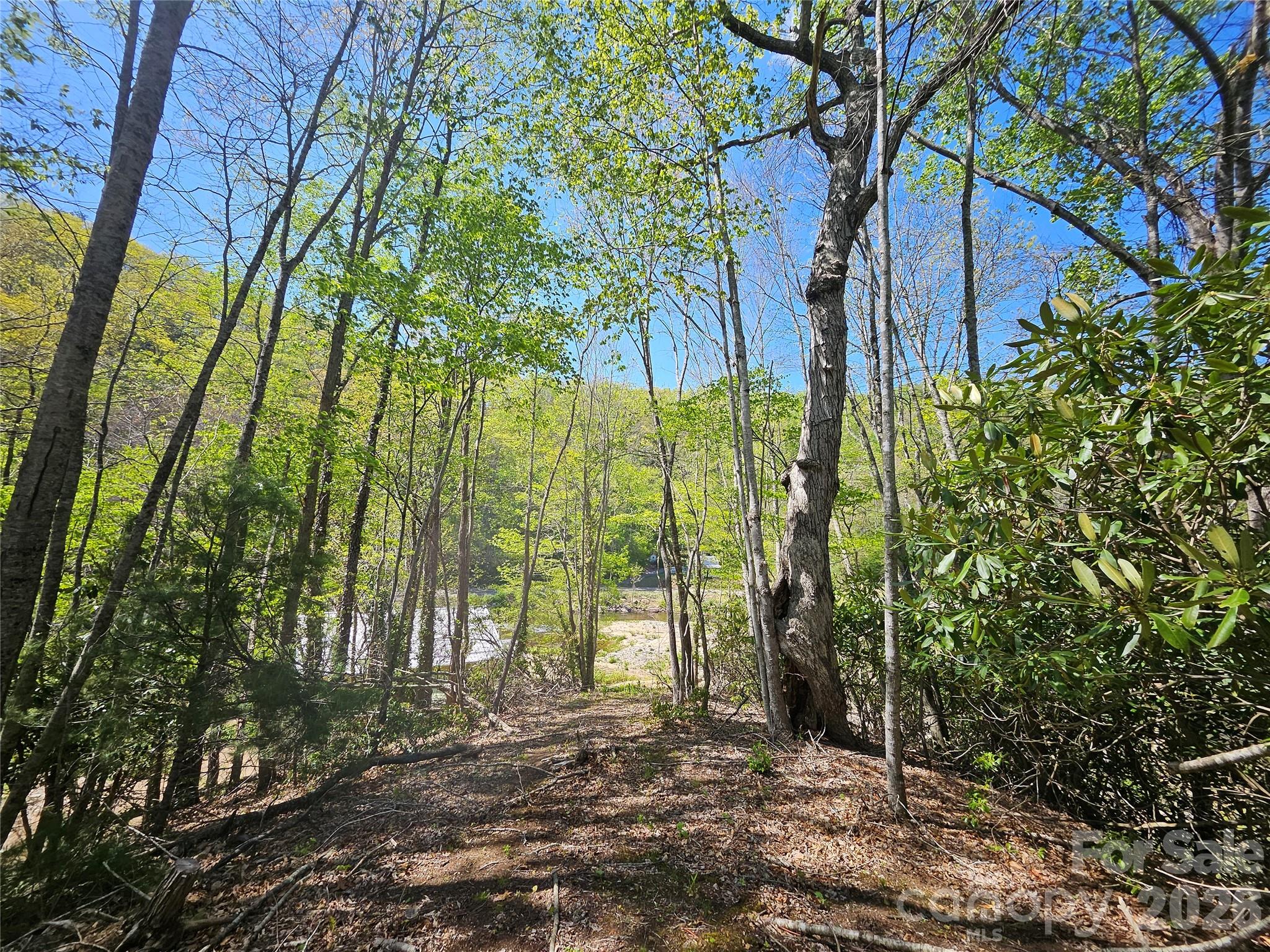 465 Paradise Lane Burnsville NC 28714