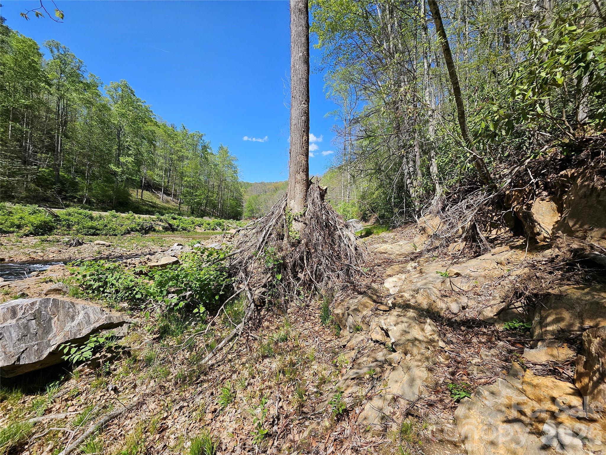 465 Paradise Lane Burnsville NC 28714