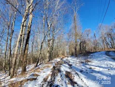 TBD Henredon Road Spruce Pine NC 28777