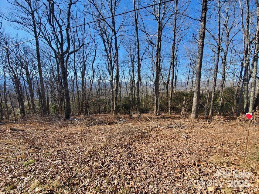 Tbd Henredon Road Spruce Pine NC 28777