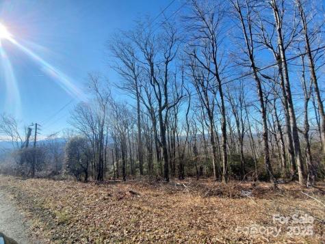 Tbd Henredon Road Spruce Pine NC 28777