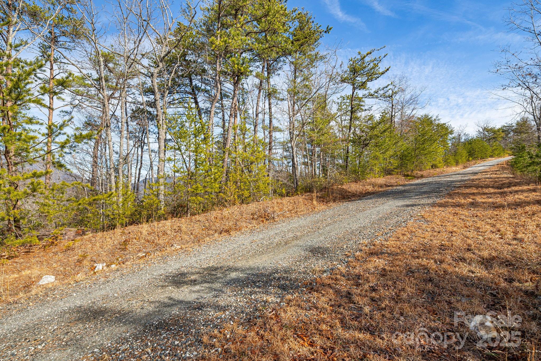 000 Fox Ridge Trail Marion NC 28752