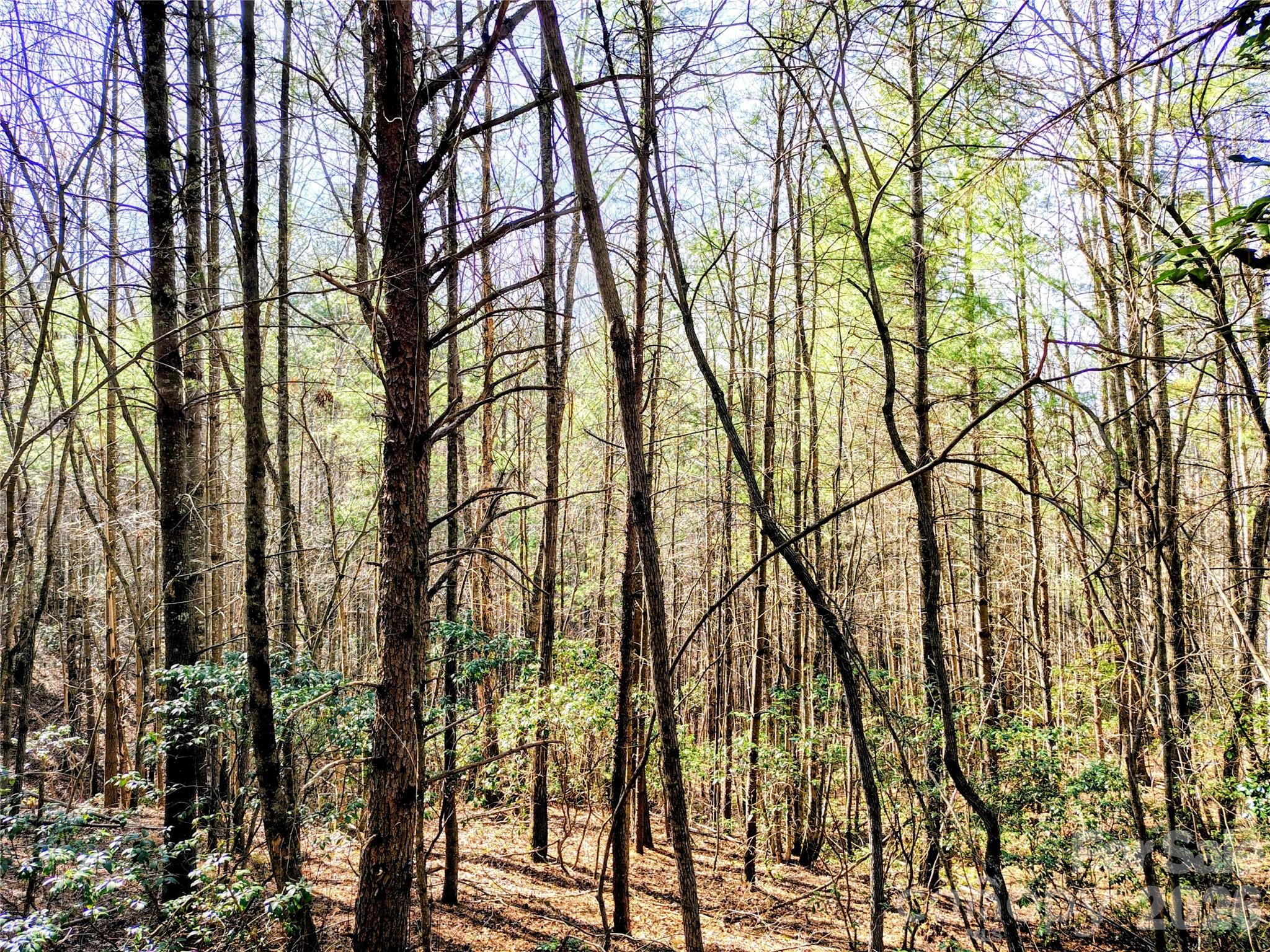 10 Acres Tahoe Trail Collettsville NC 28611