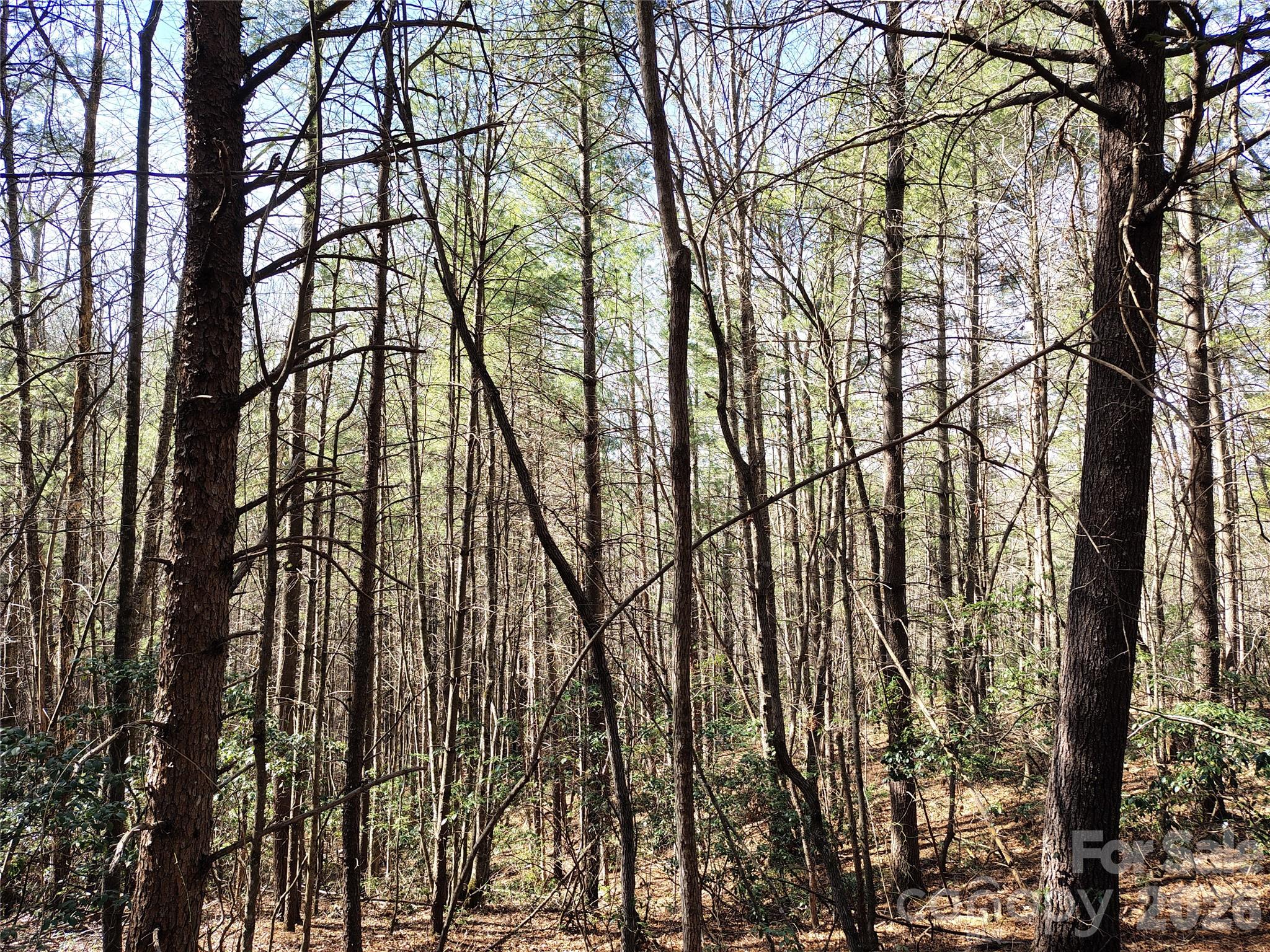 10 Acres Tahoe Trail Collettsville NC 28611